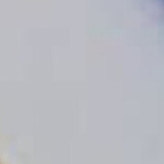 یاسی